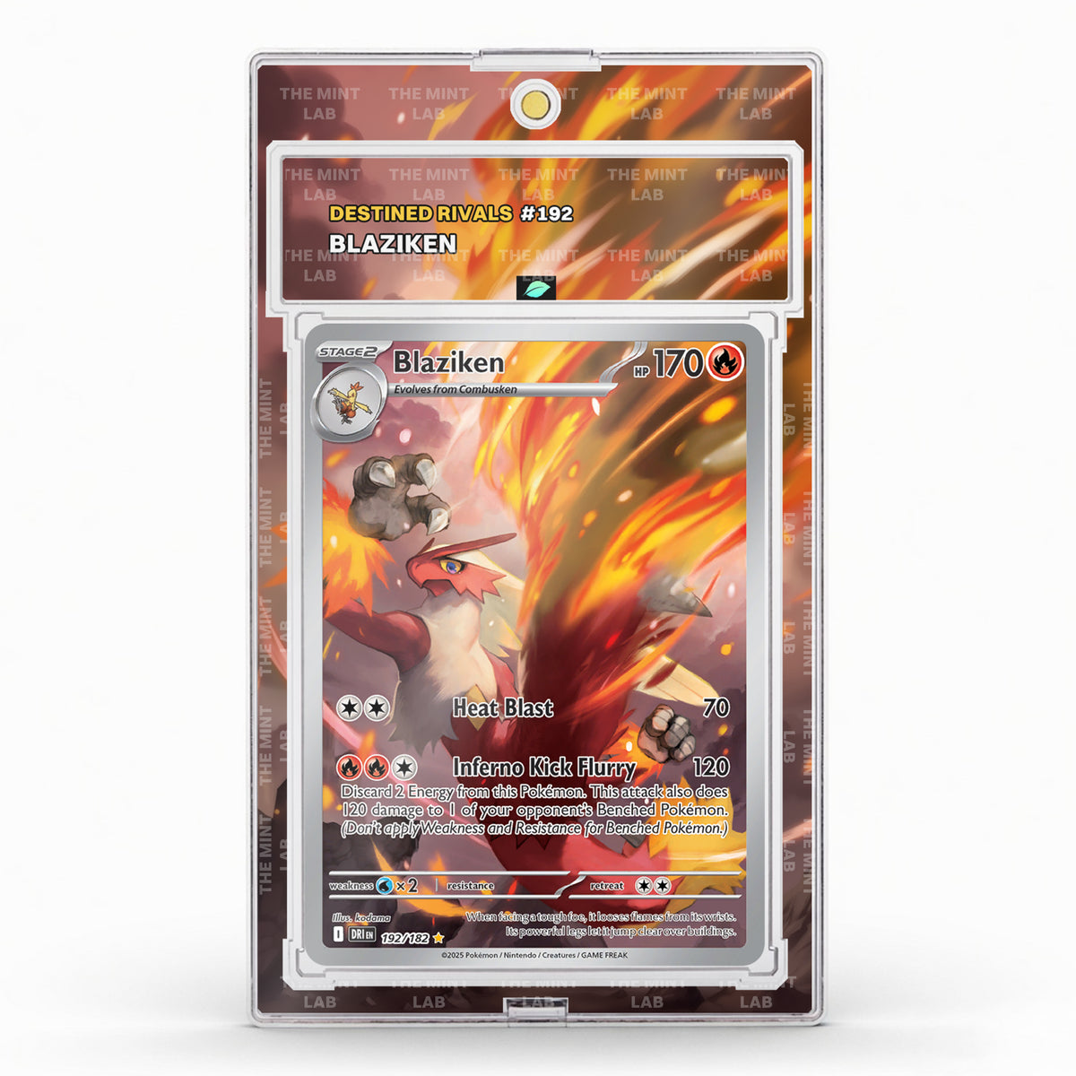 #192 Blaziken Extended Art