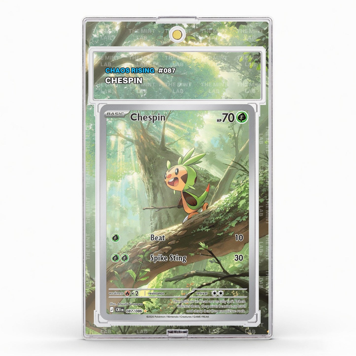 #087 Chespin Extended Art (CLEARANCE)