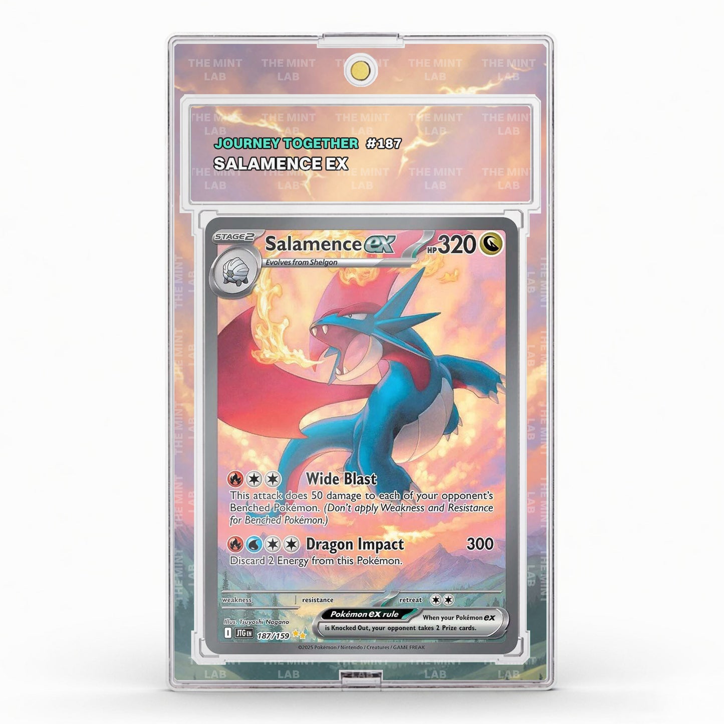 #187 Salamence Extended Art