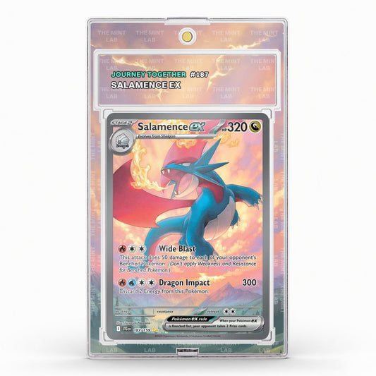 #187 Salamence Extended Art