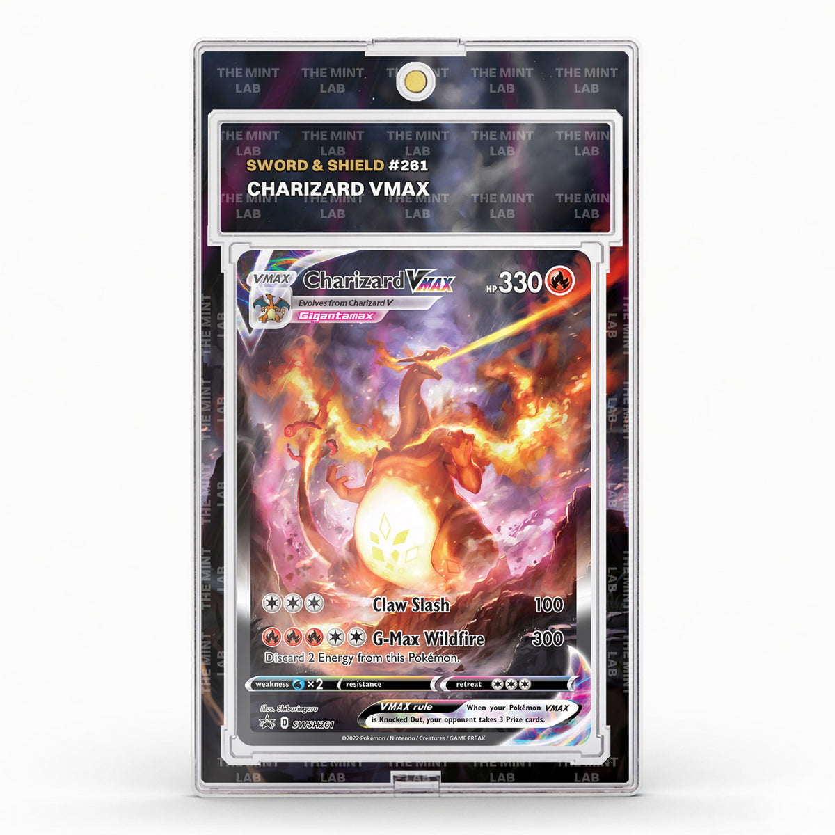 #261 Charizard VMAX Extended Art