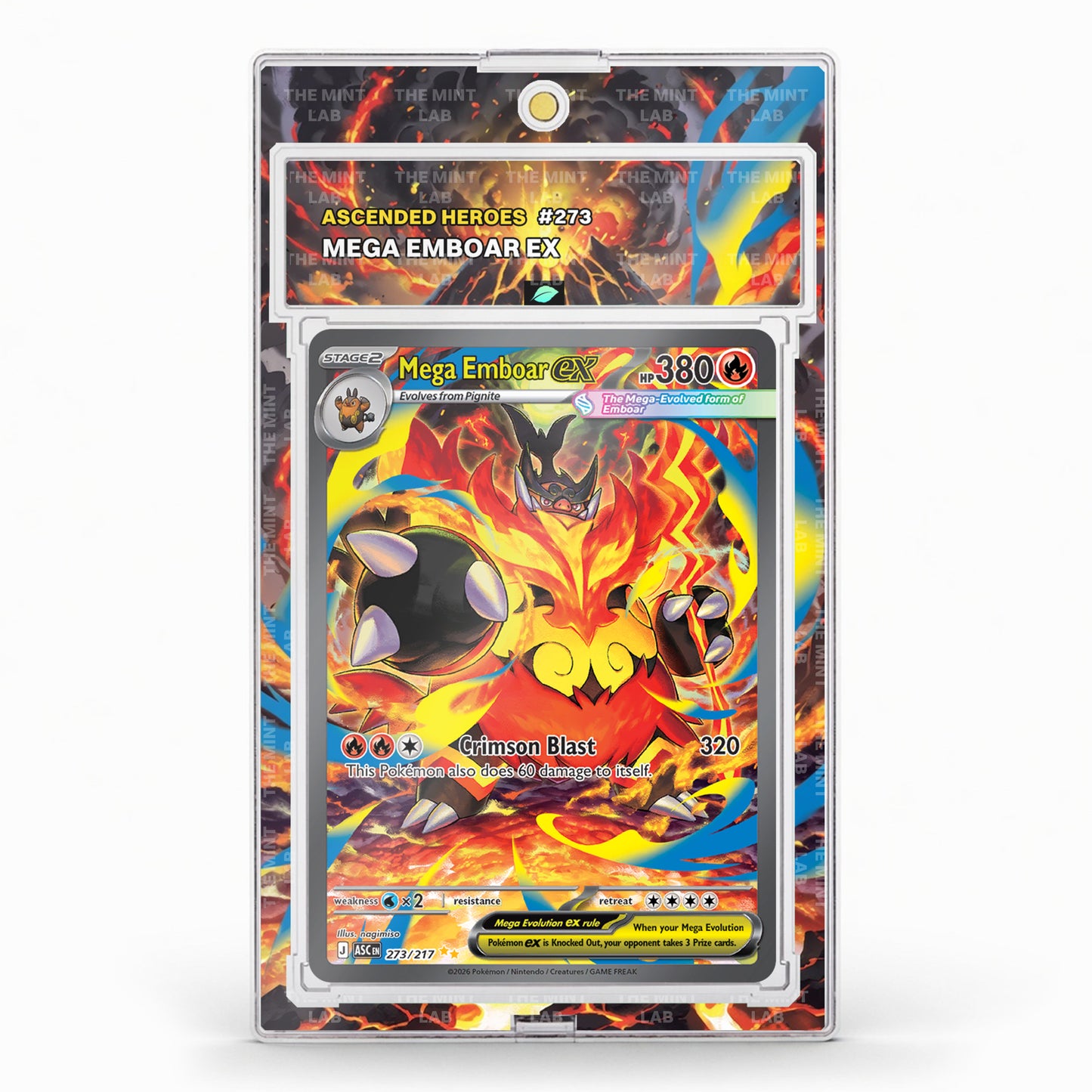 #273 Mega Emboar Extended Art