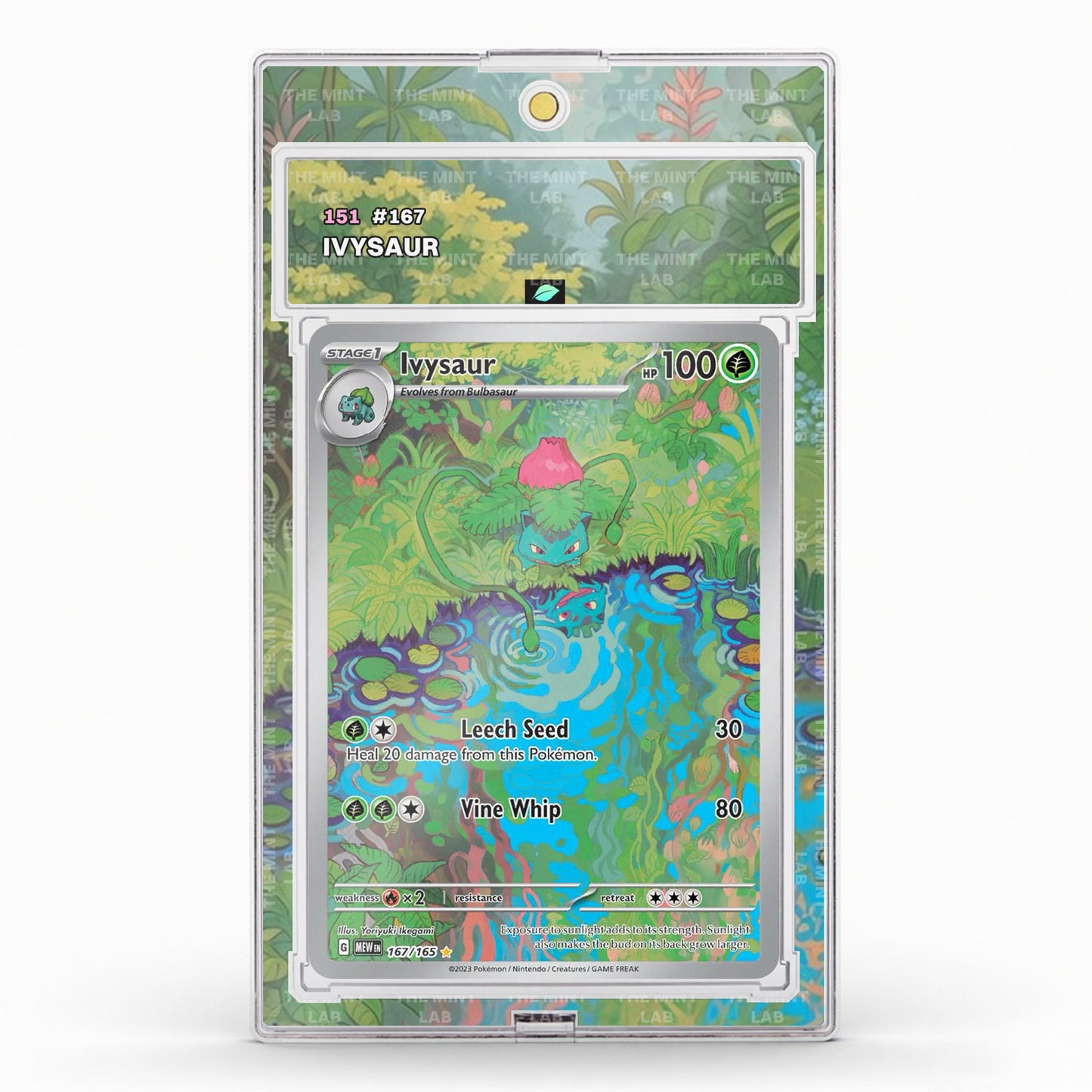 #167 Ivysaur Extended Art