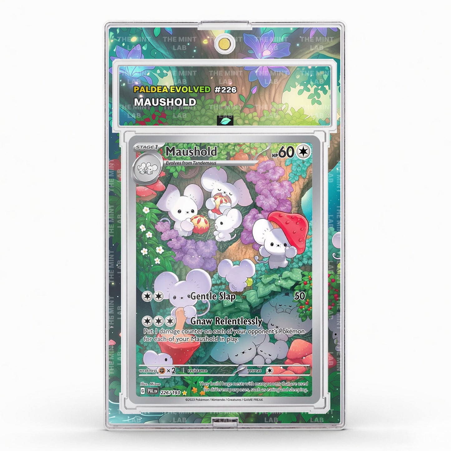 #226 Maushold Extended Art
