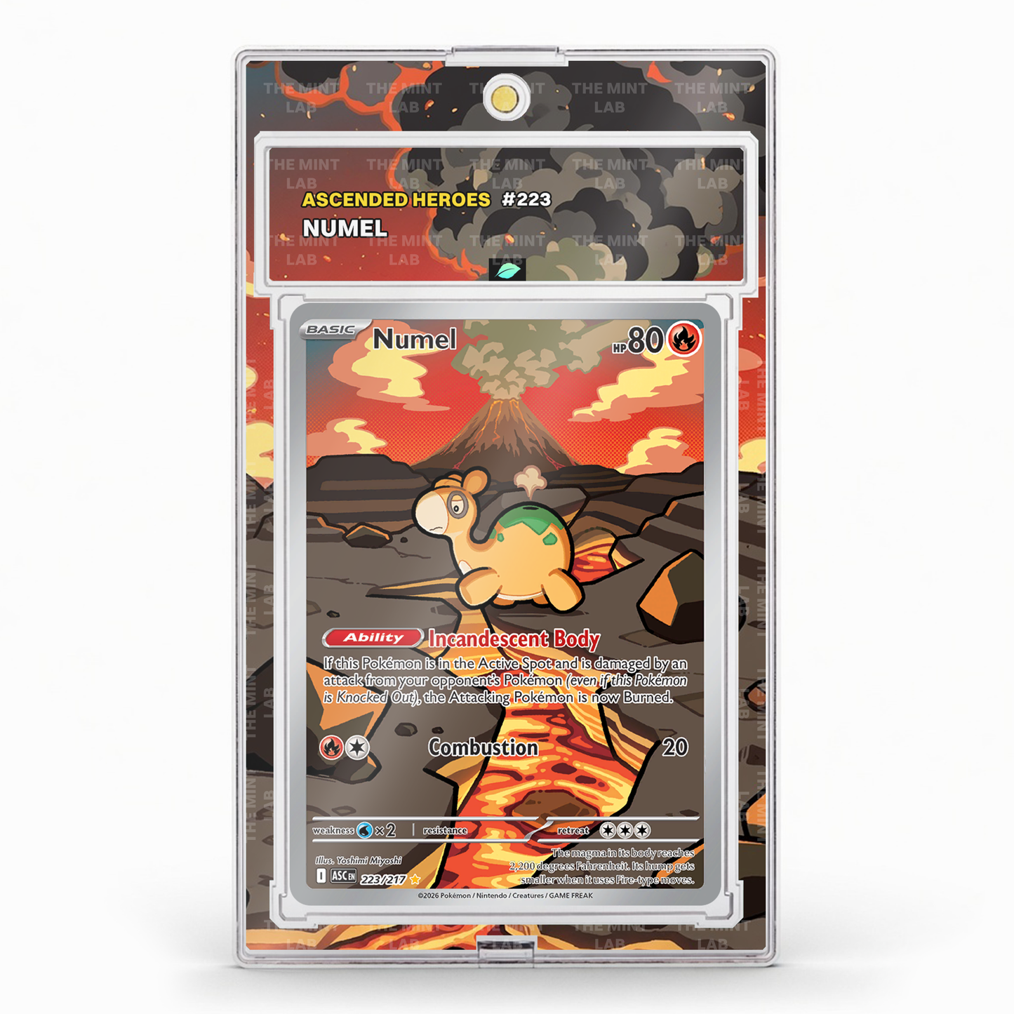 #223 Numel Extended Art