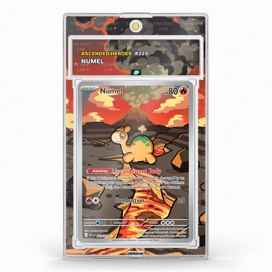 #223 Numel Extended Art