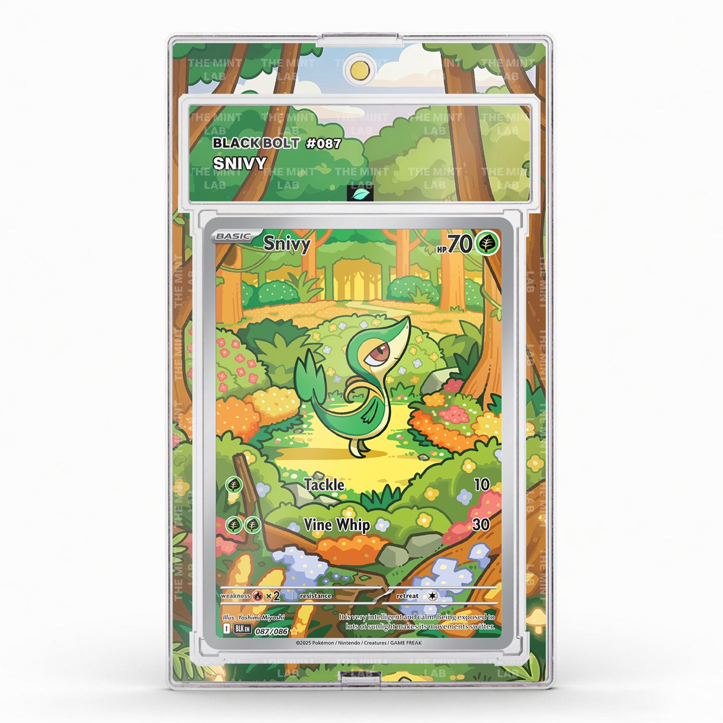 #087 Snivy Extended Art
