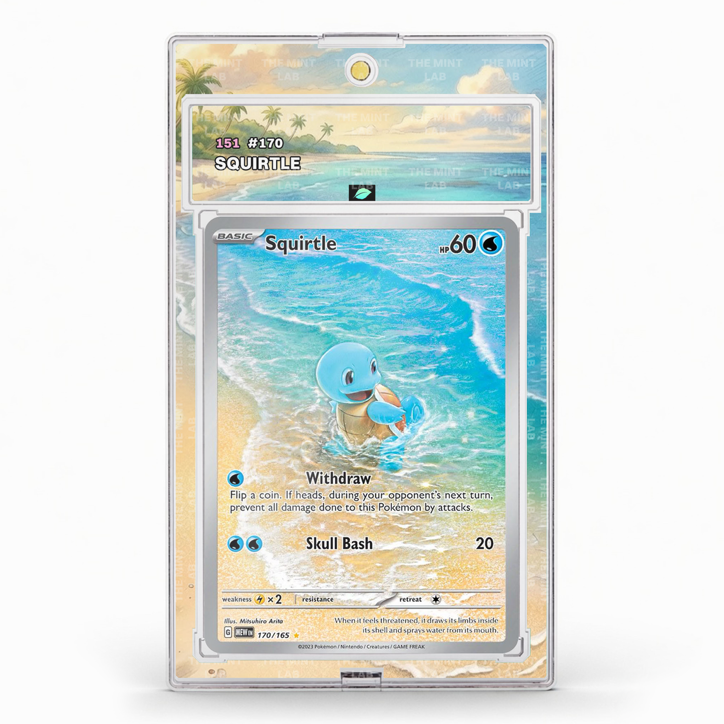 #170 Squirtle Extended Art