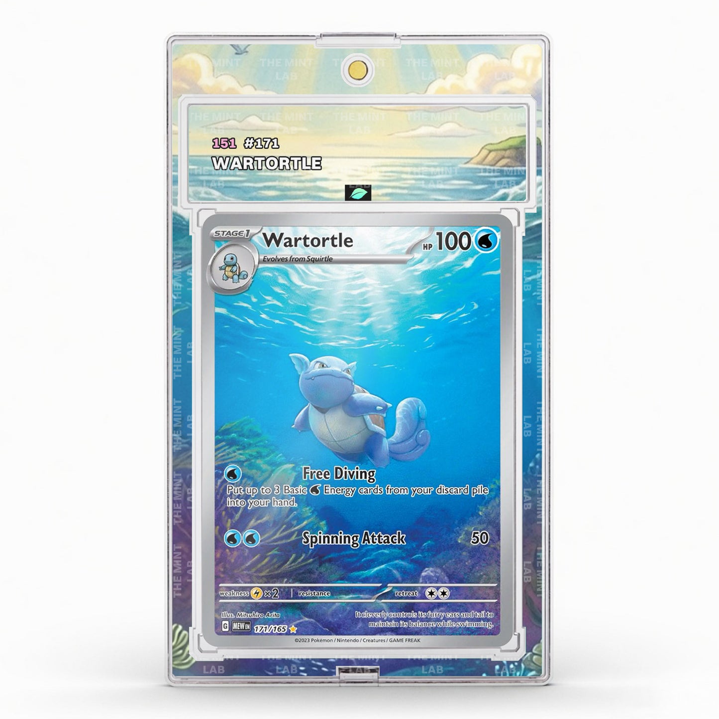 #171 Wartortle Extended Art