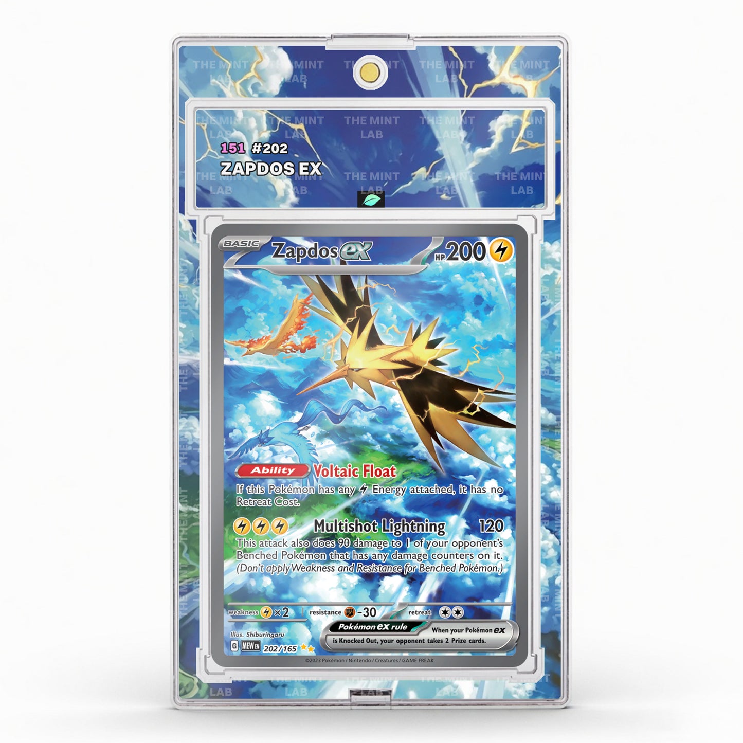 #202 Zapdos Extended Art